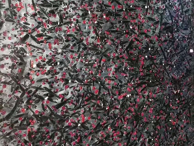 Leather Finish Red Meteorus Granite Slabs — product view 8