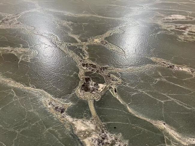 Leathered Safari Green Quartzite Slabs — product view 5