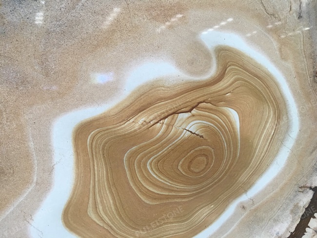 Natural Palomino Quartzite Stone Slabs — product view 3