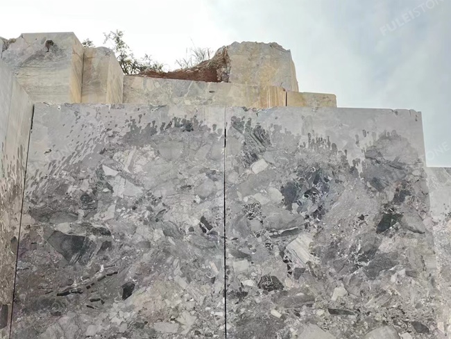 Vuca Grey Marble Slabs — product view 8